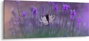Tablou - fluture în lavandă (120x50 cm)