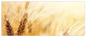 Tablou- detaliu cu (120x50 cm)