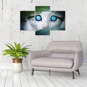 Tablou cu pisica (90x60 cm)