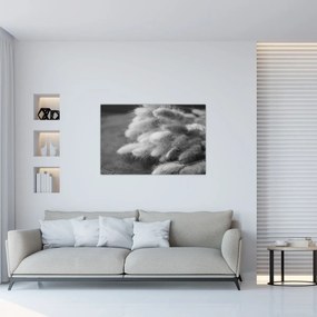 Tablou - iarbă de coadă de iepure pe masă (90x60 cm)