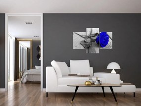 Tablou - Trandafir albastru (90x60 cm)