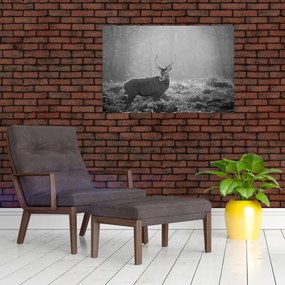 Tablou - Căprioare in pădure,alb-negru (90x60 cm)