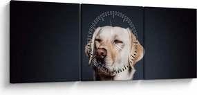 Tablou cu labrador (cu ceas) (90x30 cm)