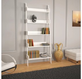 Raft Onir (alb). 1102426