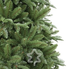 Brad Nordmann 240 cm