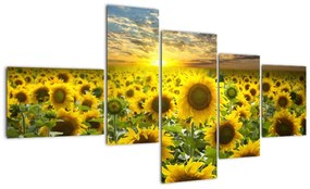 Tablouri - floarea-soarelui (150x85cm)