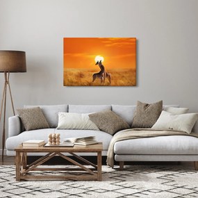 Tablou - Girafe în Parcul Național Serengeti (90x60 cm)