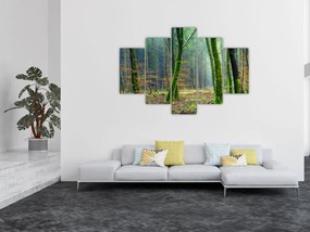 Tablou cu pădure (150x105 cm)