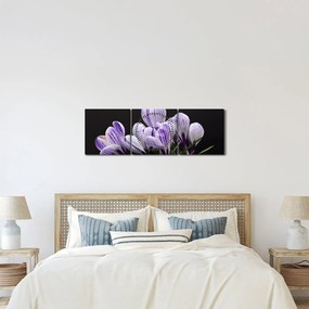 Tablou - Crocus violet (cu ceas) (90x30 cm)
