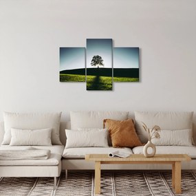 Tablou cu natura - copac (90x60 cm)