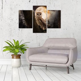 Tablou cu bufnița (90x60 cm)