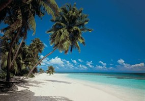 Fototapet Plaja Maldive