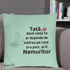 Cadou pentru Tata - Perna Personalizata Tata Nemuritor Lectura, 40x40 cm, Verde Menta, Husa Detasabila, Perna Inclusa, BEKZ®