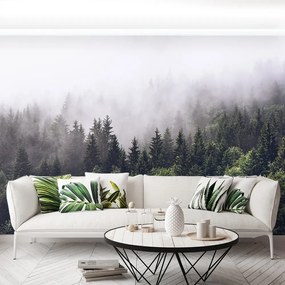 Fototapet Mountain Forest