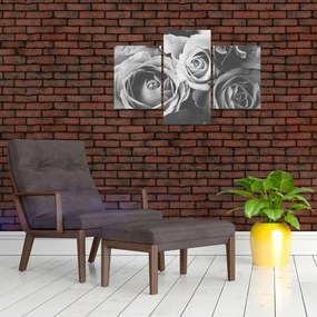 Tablou - Trandafir,alb-negru (90x60 cm)