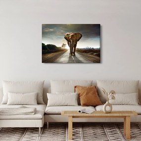 Tablou cu elefant (90x60 cm)