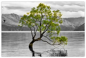 Tablou copacului în mijlocul lacului (90x60 cm)