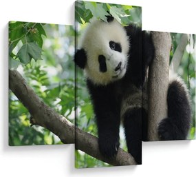 Tablou - Panda in copac (90x60 cm)