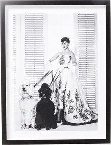 Tablou cu rama Actor Audrey Diva 65x85cm