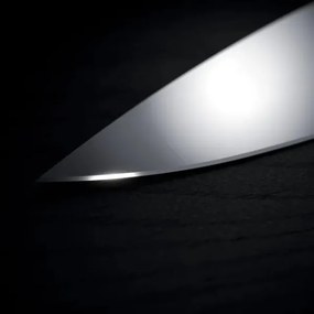 WMF - Set de cuțite de bucătărie GRAND WOOD, 6 piese, cu suport