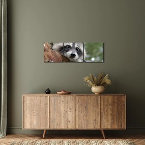 Tablou - Raton (cu ceas) (90x30 cm)