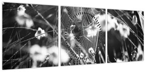 Tablou - Pânza de păianjen în pajiște (cu ceas) (90x30 cm)