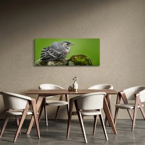 Tablou - Muscarul (120x50 cm)