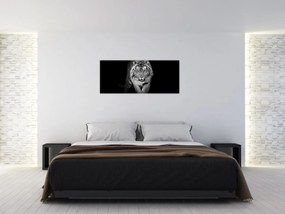 Tablou - Tigru cu ochi albaștri (120x50 cm)