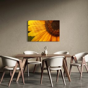 Tablou - Floarea-soarelui (90x60 cm)