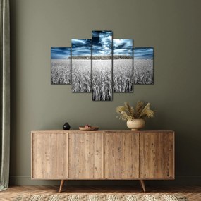 Tablou cu câmp (150x105 cm)