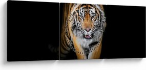 Tablou - Tiger (cu ceas) (90x30 cm)