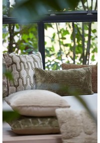 Pernă decorativă din catifea 45x45 cm Jembana – Light &amp; Living