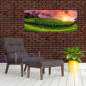 Tablou cu vie cu cerul color (120x50 cm)