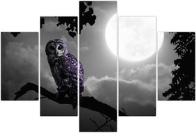 Tablou - Bufniță de noapte, bufniță mov (150x105 cm)