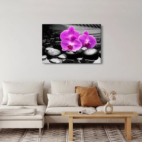 Tablou - Orhidee violet (90x60 cm)