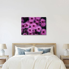 Tablou pe sticlă cu florile roz (70x50 cm)