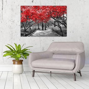 Tablou - Copaci roșii, Central Park, New York (90x60 cm)