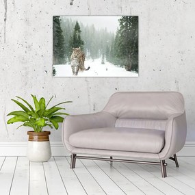 Tablou pe sticlă cu leopard în zăpadă (70x50 cm)