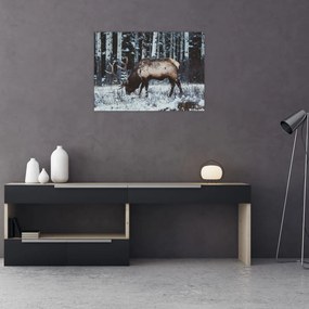 Tablou pe sticlă - cerbul iarna (70x50 cm)