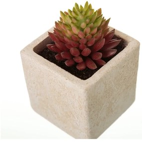 Plante artificiale 6 buc. (înălțime 9,5 cm) Cactus – Casa Selección