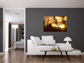 Tablou - Apus de soare (90x60 cm)