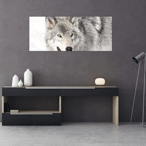 Tablou - Lupul în natură (120x50 cm)