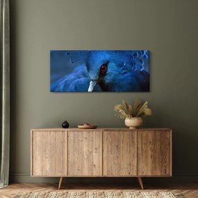 Tablou - Porumbel încoronat (120x50 cm)