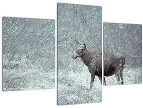 Tablou - Elan într-o pădure înzăpezită (90x60 cm)