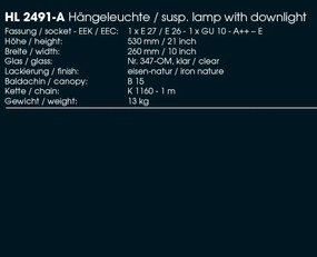 Pendul iluminat exterior din fier forjat, HL 2491-A