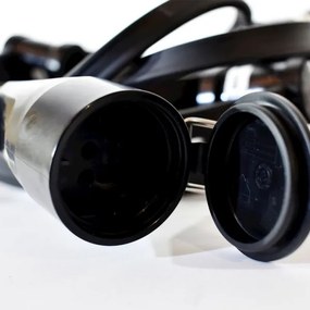 Lanț decorativ de exterior GIRLANDA 12 m 10xE27/15W/230V IP44