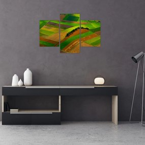 Tablou - Lan, luncile (90x60 cm)