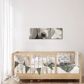 Tablou - cățeluș weimaraner (cu ceas) (90x30 cm)