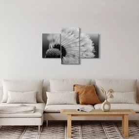 Tablou cu păpădie - albnegru (90x60 cm)