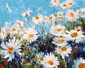 Pictura pe numere cu un cadru "Margarete" 50x40 cm
